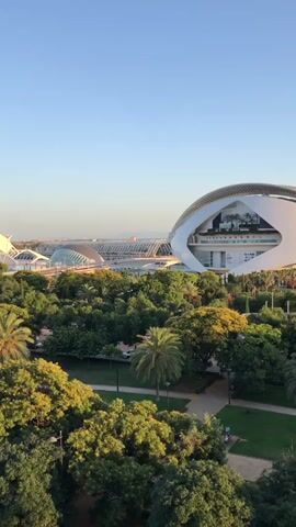 The video shows a park with lush green trees and palm trees. In the background, there are modern architectural structures with curved white roofs. The sky is clear and blue, indicating a sunny day. The image is taken from a slightly elevated viewpoint, looking out over the park towards the buildings.