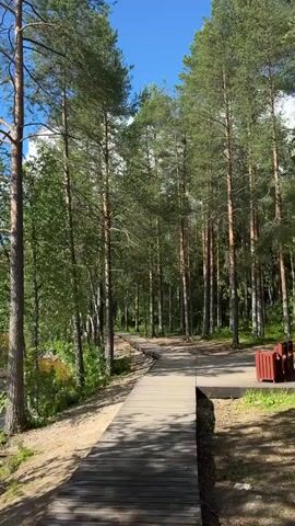 This media file captures a serene view of a wooden boardwalk winding through a pine forest alongside a calm lake. The scene appears to be set in Kostomuksha, Russia, during daylight hours. The weather is partly cloudy with a bright blue sky peeking through.

The boardwalk, made of weathered wooden planks, leads the viewer deeper into the forest, creating a sense of exploration and tranquility. Tall, slender pine trees dominate the landscape, their green needles creating a dense canopy overhead. Sunlight filters through the branches, casting dappled shadows on the path and the forest floor.

To the left of the boardwalk, the gentle ripples of a dark blue lake are visible. The water's surface reflects the sky and the surrounding trees, adding to the peaceful atmosphere. Rocky outcrops and sparse vegetation line the shore, suggesting a natural, untouched environment.

The overall emotion conveyed is one of peace, solitude, and the beauty of nature. The media appears to be a short video clip, as indicated by the timestamps. There is no visible text within the media file.
