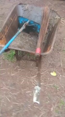A wheelbarrow filled with mud and debris sits on a dirt ground. Two brooms, one with a blue handle and another with a brown handle, are placed inside the wheelbarrow. The camera is positioned above the wheelbarrow, looking down at the brooms. The scene is outdoors, and the ground appears to be covered in dirt, grass, and some dry leaves. The lighting is natural, suggesting it is daytime.
