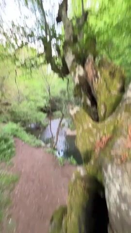 The video is a quick, handheld shot in a green forest, likely in daylight. The camera pans up and around a large tree trunk covered in moss. A stream can be seen in the background through the trees. The shot is slightly shaky.