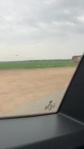 The video shows a view from inside a car. The camera is likely in the backseat. The view out the window shows a flat, open landscape with fields and a cloudy sky. Two golden statues are visible outside. The camera then shifts to show a bouquet of lily of the valley tucked into the side of the car. Someone is reaching down towards the flowers. There are voices in the background.