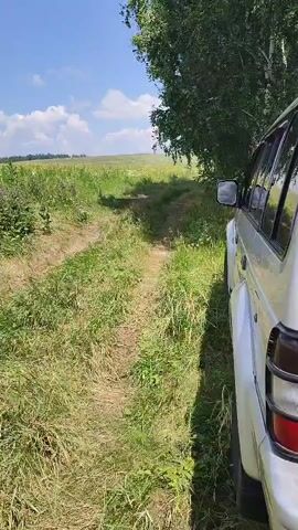 A silver SUV is parked on the side of a dirt path next to a field of green grass and trees. The sky is blue with white clouds. The camera is stationary and facing the front of the SUV. The video is 4 seconds long.