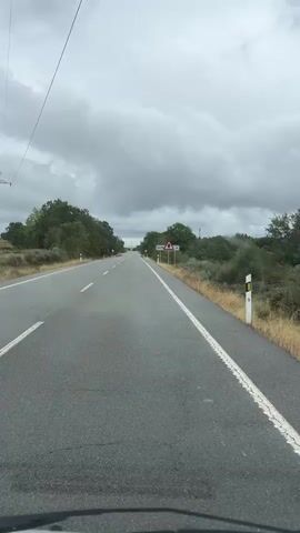 A first-person perspective video captures a drive along a paved road under a cloudy sky. Trees and brush line both sides of the road. A white sign with black lettering that reads "ENTREPEÑAS" and an arrow pointing to the right is visible on the right side of the road, accompanied by a triangular warning sign depicting a deer. Several smaller, circular red and white signs are also sporadically present along the roadside. The road has white lane markings, and the perspective suggests the vehicle is moving at a moderate speed.