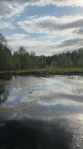 Quiet pond moment captured in rural Russia