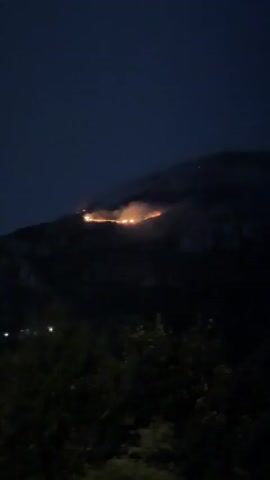 The video captures a nighttime scene of a wildfire on a mountain. The flames are visible as orange streaks against the dark landscape. Smoke plumes rise from the fire, partially obscuring the mountainside. The foreground is dominated by dark foliage, suggesting the viewer is observing the fire from a distance, likely from a lower elevation. The overall impression is one of a destructive natural event unfolding in the darkness.