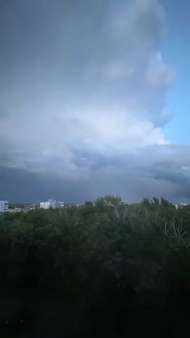 A storm approaches a city skyline. Dark, heavy clouds fill most of the sky, with a sliver of blue visible on the right. Lightning flashes across the sky on the left. Below the clouds, a dense line of dark green trees stretches across the foreground, obscuring the lower portion of the city. Buildings with white facades are visible behind the trees in the distance. The scene appears to be captured from an elevated vantage point, looking out over the landscape. The overall mood is dramatic and foreboding.