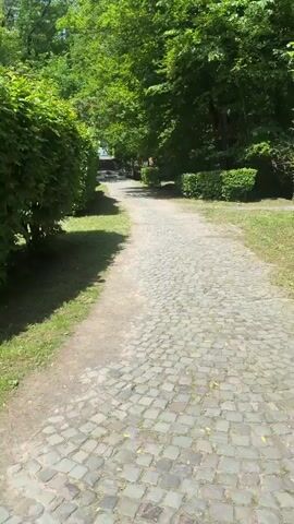 A stone paved pathway curves forward through a park-like environment with short, dense hedges lining each side, partially shaded by mature trees. A glimpse of a structure, perhaps a building or fountain, can be seen at the end of the path. The lighting is bright and the weather appears sunny.