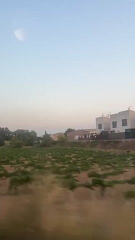 This is a video taken from a moving vehicle, likely a car or train, showing a rural landscape. The sky is a clear, pale blue with a slight gradient towards a warmer hue near the horizon, suggesting either dawn or dusk. The primary foreground element is a field of green crops, possibly vineyards, with neat rows stretching across the frame. Beyond the crops, there are several trees and some buildings. The buildings appear to be of a moderate size, with one notable structure that is white and angular, possibly a modern house or shed. Power lines and poles are visible in the distance. The motion blur indicates the speed of the vehicle, giving a sense of travel through the scenery. The overall impression is one of a tranquil, sunlit countryside during a transitionary period of the day.