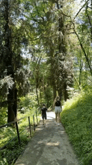 Woman and child walk through moss-covered forest in Sochi
