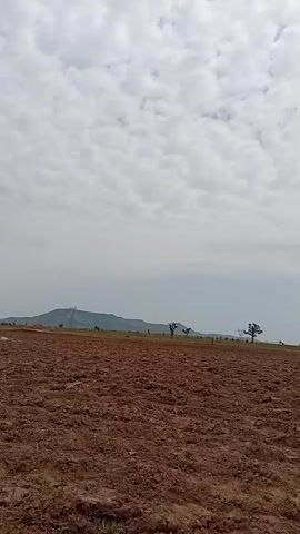 The video captures a wide, open landscape under a cloudy sky. The foreground is dominated by a large expanse of freshly tilled, reddish-brown soil, suggesting agricultural activity. In the middle ground, a sparse line of trees stretches across the horizon, some appearing solitary and others clustered together. Beyond the trees, a low, undulating mountain range is visible in the distance, with a power line tower standing prominently on one of the hills.

The weather appears overcast, with a thick layer of clouds obscuring direct sunlight, creating a diffused light over the scene. The time of day is not explicitly indicated but the lighting suggests it could be late morning or afternoon. The overall mood is peaceful and somewhat rural, emphasizing the natural environment and the ongoing work in the fields. The presence of the power line tower hints at a blend of natural landscape with modern infrastructure.

There are a few subtle indications of human presence. In the middle distance, faint figures can be seen walking across the field, perhaps farmers or individuals traversing the land. The video also features the edge of a finger in the extreme foreground for a brief period, suggesting the footage was taken by someone holding a device and possibly gesturing or adjusting their grip.

No text is visible in the video. The scene is set in a rural area, likely an agricultural region, with the mention of Jurara, Nigeria, providing specific geographical context. The activity is primarily the cultivation of land, evidenced by the plowed field.