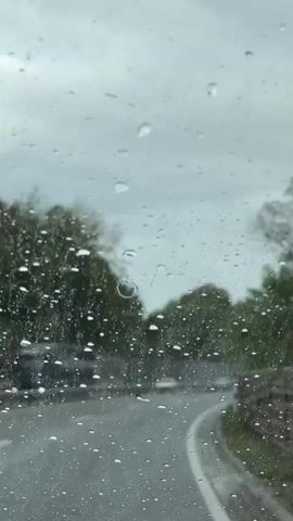 This is a first-person perspective video from inside a vehicle driving on a wet road during a rainstorm. Raindrops are visible on the windshield, distorting the view of the road and the surrounding landscape. The road curves to the right, and there are trees and foliage on either side. Other vehicles can be seen in the distance, their headlights illuminated through the rain. The sky is overcast and gray. The video captures the dynamic nature of driving in adverse weather conditions.
