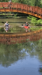 Morning kayakers and wildlife spotted at Moscow waterway