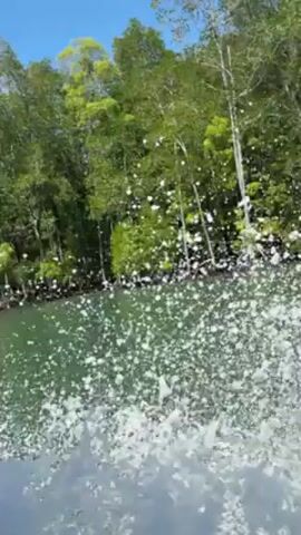 The video shows a view from a moving boat on a sunny day. The water is choppy, with spray coming up. On the edge of the water, there's a green tree line. The sky is blue.