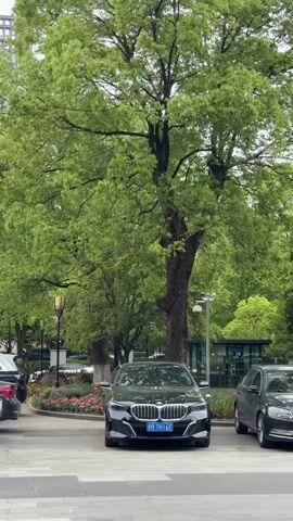 The video shows a row of parked cars. They include a black BMW, a gray Volkswagen, a red Volkswagen, and a white Volkswagen. The cars are parked on a paved area next to a park or grassy area with trees. The sky is overcast. The cars have license plates from China.