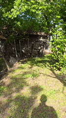 Rural garden scenes captured over 80 minutes show weathered buildings, spring flowers