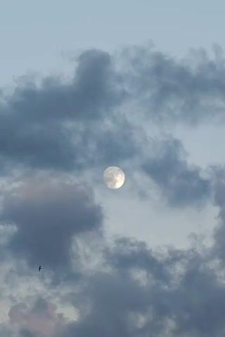 This is a vertical, medium shot of the moon partially obscured by clouds. The moon is a bright, circular orb in the upper center of the frame, with visible texture and craters on its surface. It is surrounded by a wispy, grey cloud formation that drifts across the sky. The sky is a pale blue, suggesting either early morning or late evening. The clouds are thick and billowy, with some areas appearing darker and more defined, while others are translucent and soft. The overall mood is serene and atmospheric, evoking a sense of quiet contemplation. The location is identified as Izgrev, Bulgaria. There is no visible text in the media file.