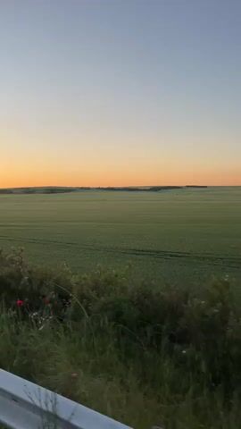 The camera films a landscape at sunset from the vantage point of a moving vehicle. The sky transitions from a light blue to a vivid orange as the sun sets. A vast, green field stretches out to the horizon. The field has visible tire tracks across its surface. In the foreground, there's a metal guardrail with foliage including green bushes, small white flowers, and a cluster of vibrant red poppies.