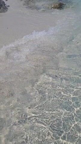 A video shows a shallow body of water with a sandy bottom. The water is clear and calm, with gentle ripples on the surface. Sunlight reflects off the water, creating shimmering patterns on the sand. In the background, there are a few rocks visible, and the shoreline appears to be made of sand. The perspective is from a low angle, looking slightly downwards into the water. There are no people or animals visible in the video. The overall impression is one of a peaceful and serene beach or shallow ocean environment.