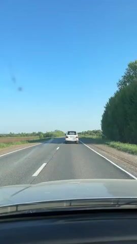 The video shows a view from inside a vehicle driving on an asphalt road with a white line marking the lanes. In front of the camera vehicle, another white SUV is traveling in the same direction. The rear window of the SUV has several lines of text. The vehicle has a license plate with the number P254CC and the digits 16. The sky is clear blue, and the landscape on either side of the road consists of fields and trees. The footage is steady, capturing the movement of the camera vehicle as it follows the SUV.