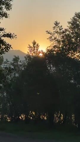 The video shows a sunrise or sunset over a landscape with trees and hills. The sun is partially obscured by trees, casting a warm golden glow. The sky is a pale orange and yellow, transitioning to a lighter hue at the top of the frame. Silhouetted trees dominate the foreground and middle ground, with some branches extending into the upper left corner. In the background, a mountain range is visible, softened by the atmospheric light. A dirt or gravel path is visible at the bottom of the frame. There are no people or animals visible. The scene is tranquil and natural.