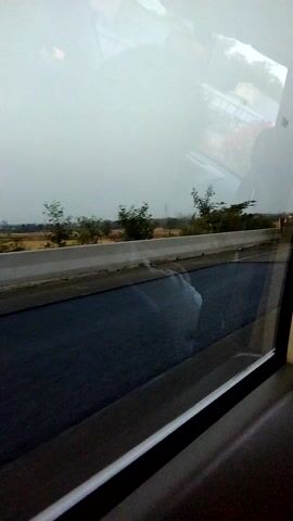 The video shows a view from inside a vehicle looking out a window. The window reflects the interior of the vehicle, including what appears to be a person's head and shoulder, and the ceiling. Outside the window, a road is visible, with trees and sparse vegetation on the side. The sky appears overcast. The scene suggests movement, as indicated by the perspective and reflections.