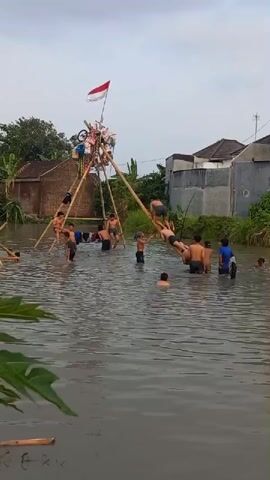 A group of people, mostly young males, are in shallow murky water near a village. They are gathered around a tall, unstable bamboo structure that appears to be a makeshift competition or activity apparatus. The structure is adorned with an Indonesian flag and various items, including what looks like a bicycle wheel. Several individuals are actively climbing the bamboo poles, while others are in the water, some assisting those on the structure and others observing. One person is positioned precariously on a long, angled bamboo pole extending from the top of the structure, appearing to be sliding down or in the process of falling. The environment suggests a rural or semi-rural setting with houses and vegetation visible in the background. The overall atmosphere depicts a communal and energetic gathering, likely for a local event or celebration.