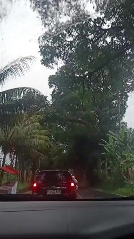 Driving down a road in rainy weather. Trees line the side of the road, partially obscuring the sky, which is overcast. Water droplets are visible on the windshield. Ahead is a black SUV, a bus, and a taxi, and a motorcycle, all stopped in traffic. A street lamp is visible.