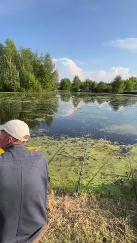 A man wearing a white cap and a dark jacket is fishing by a pond. He is seated facing away from the camera, with his back and left shoulder visible. Two fishing rods are planted in the grassy bank to his right, with their lines in the water. The pond is covered in green algae and lily pads, with reeds growing along the edge. Trees and houses are visible on the opposite bank. The sky is blue with scattered white clouds.