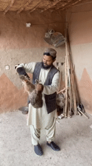 Falconer tends birds of prey in Pakistan village