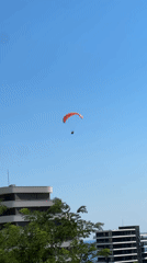 Paragliders soar over the Montenegrin coast on a clear afternoon