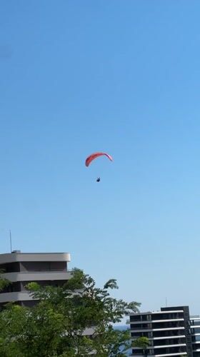 Paragliders soar over the Montenegrin coast on a clear afternoon