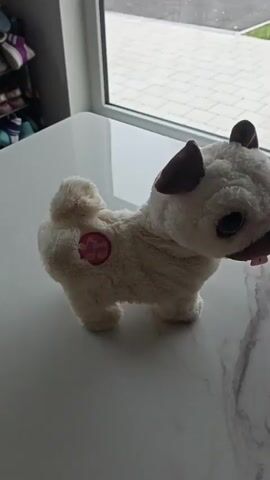 The video shows a stuffed toy dog with beige fur and brown ears on a white marble-patterned surface. The dog is facing right, with its head tilted up and its tongue sticking out. A pink circular emblem with a gold design is visible on its left side. The background includes a window with a view of an outdoor paved area and green grass. The lighting suggests it is daytime. The video is short and shows slight movement of the toy dog.