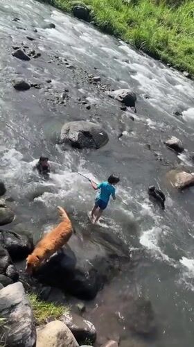 River day in Klungkung — kids, adults, and a golden retriever