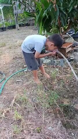 A young boy with dark hair and wearing a light blue t-shirt and dark shorts is crouched down, drinking water from a hose. The hose, which is green, is visible on the ground to the boy's left. The boy is standing on dry grass and dirt. To his right, there is a small wooden structure, some rocks, and more grass. In the background, there are some potted plants and trees. The boy is cupping his hands to catch the water from the hose and bring it to his mouth.