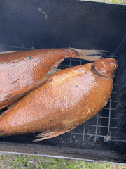 Fish smoking session and family moments documented in Chaikovsky