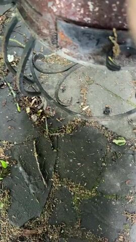 The camera pans up to a rusty wood-burning stove with a fire burning inside. Two planks of wood are on top of burning coals with visible flames rising up. The stove sits on a wrought iron base on a stone patio covered with organic debris.