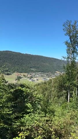 The video shows a wide shot of a valley with a town situated in the middle, bordered by a heavily forested mountain and a clear blue sky. In the foreground, lush green foliage dominates the bottom half of the frame, with the leaves of trees and bushes creating a dense canopy. As the camera pans slightly to the right, the valley opens up, revealing a settlement with various buildings, including houses and what appear to be larger industrial or institutional structures. A winding road can be seen leading into the town, with fields surrounding the outskirts. On the slopes of the mountain overlooking the town, a few wind turbines are visible, suggesting a presence of renewable energy infrastructure. The overall atmosphere is serene and natural, with the vast expanse of the forest and the clear sky indicating a tranquil, rural setting. There are no people or animals visible in the video.