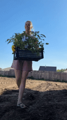 Woman transports plants across field in Chaikovsky, Russia