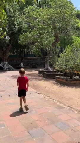 The video opens with a shot of a young child walking away from the camera on a paved path. The child is wearing a red shirt and black shorts. Behind the child, there are several large trees and lush greenery. The path leads to a sandy area with more trees and planters. The camera then pans to the right, showing more of the garden area and a distant ornate gate. The sky is blue with scattered clouds. The scene appears to be a peaceful outdoor setting, possibly a park or a historical site.