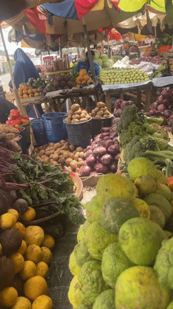 Fresh produce market bustling in Galadimawa, Nigeria