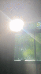 Morning sunlight streams through steamy window in Newburgh home
