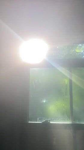 Morning sunlight streams through steamy window in Newburgh home