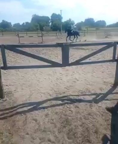 A person on horseback approaches a wooden fence in an outdoor arena. Two people stand in the foreground watching. Another person stands near the fence, facing away from the camera. The horse jumps over the fence. Another person, wearing a blue shirt, stands near the fence and appears to be interacting with the horse or rider. The ground is covered in sand. Trees and a fence are visible in the background. The sky is cloudy.