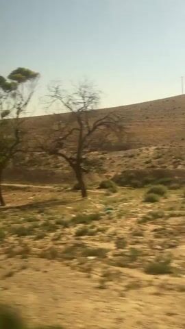 This media file captures a view from a moving vehicle, likely a car or train, traveling through a dry, arid landscape in Arad, Israel. The scene is dominated by sparse vegetation, including several trees with distinct shapes. Some trees are full of green leaves, while others appear bare and skeletal, suggesting seasonal changes or a harsh environment. The ground is a mix of dry earth and patches of short, scrubby grass. In the background, a gently sloping hill rises, covered in more of the dry, sparse vegetation and appearing somewhat rocky or uneven. The sky is a clear, pale blue, indicating fair weather and likely daytime, possibly late morning or early afternoon given the bright, diffused light. There are no people or prominent man-made objects visible, contributing to a sense of natural desolation. The overall impression is one of a quiet, somewhat desolate, yet naturally beautiful landscape. The movement of the vehicle causes a slight blur in the foreground and middle ground, adding a dynamic quality to the otherwise static scene. There is no visible text within the media file.