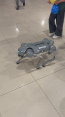 Robot dog demonstration draws crowds at mall event