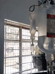 Cat receives IV treatment at Nairobi veterinary facility
