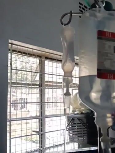 Cat receives IV treatment at Nairobi veterinary facility
