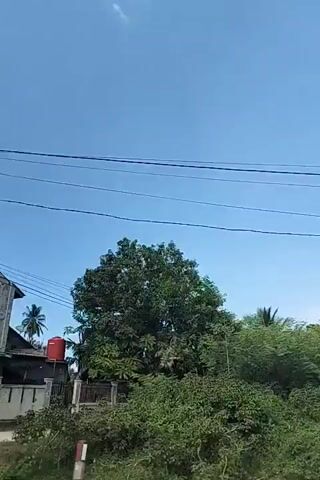 The video shows a moving perspective from a vehicle, likely a car, traveling along a road in a tropical or semi-tropical environment. Lush greenery, including trees and palm trees, lines the roadside. Buildings are visible intermittently through the trees, including houses and some structures appearing to be market stalls or storage. The sky is blue and clear. The camera moves quickly, blurring the scenery slightly, creating a sense of speed.
