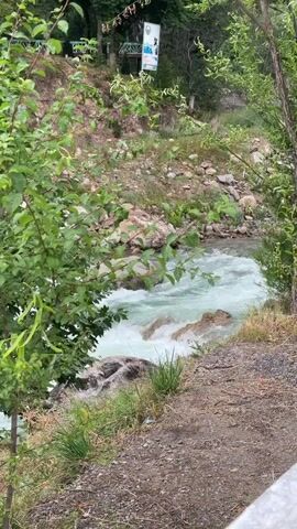 A camera pans across a flowing river with whitewater rapids. The riverbank is lined with rocks and vegetation. In the background, there is a hillside with trees and a small structure. The overall scene is natural and undeveloped.