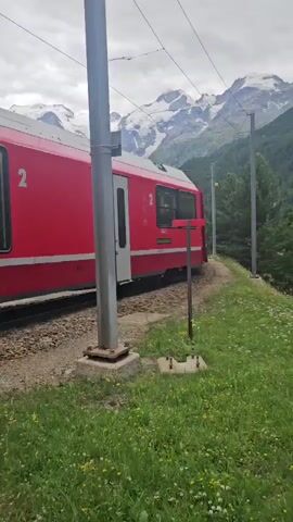A red train with white doors is moving along a track. There are mountains in the background with snow on top. The sky is cloudy. There are trees on the right side of the frame. There are poles along the track. There are some flowers on the ground in the foreground.